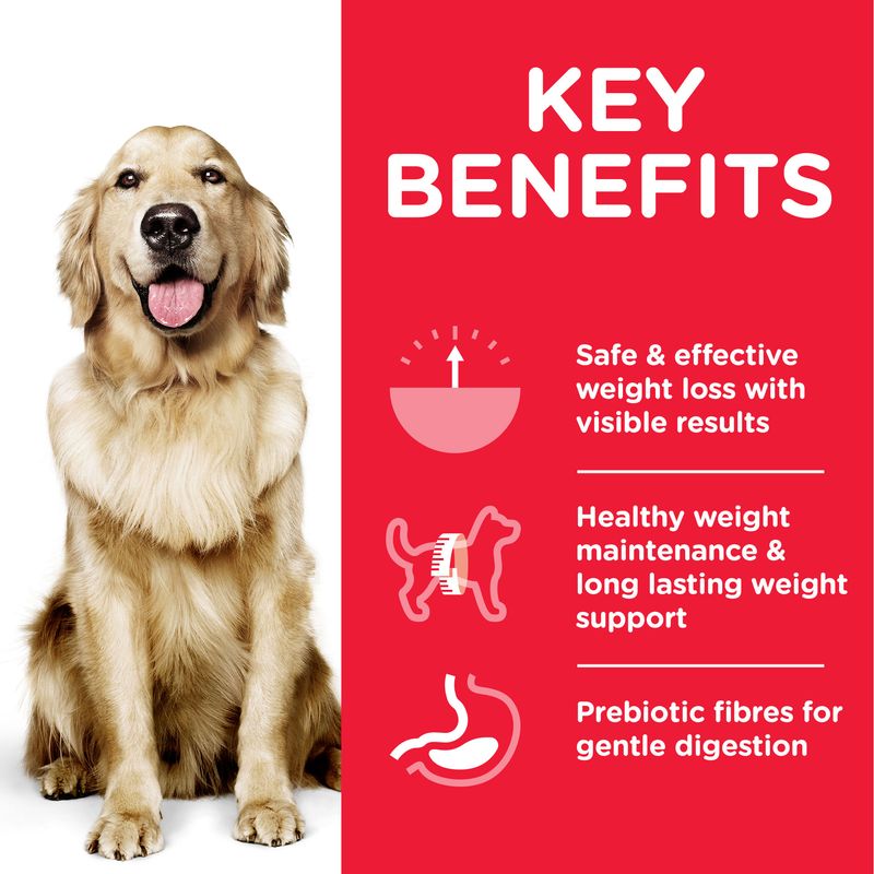 Hill's Science Plan Adult 1+ Perfect Weight Large Breed with Chicken 12kg