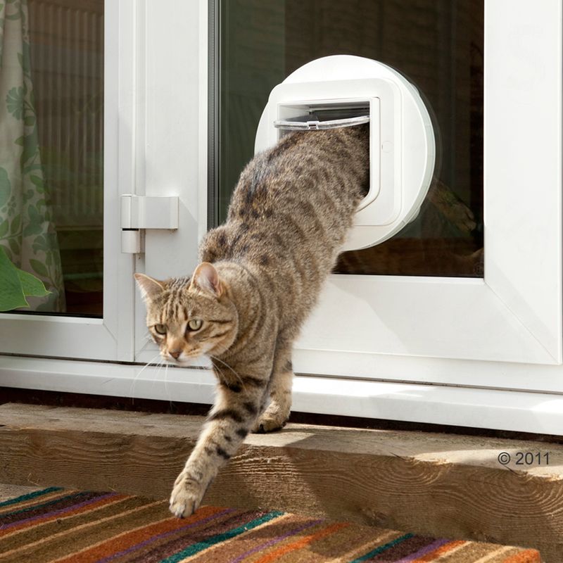 SureFlap Microchip Cat Flap White Cat Flap