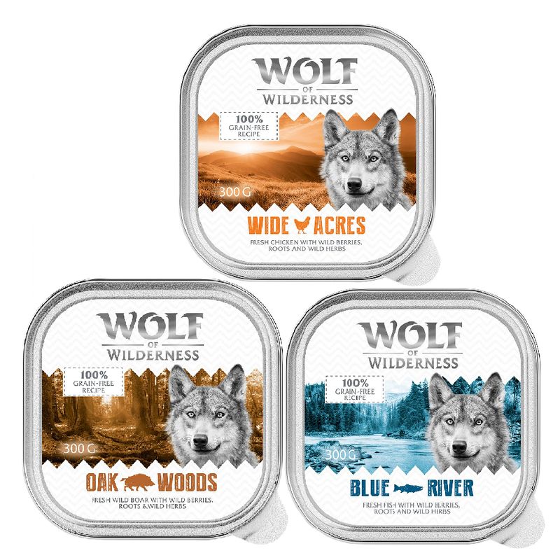 Wolf of Wilderness Adult Saver Pack 24 x 300g High Valley - Beef