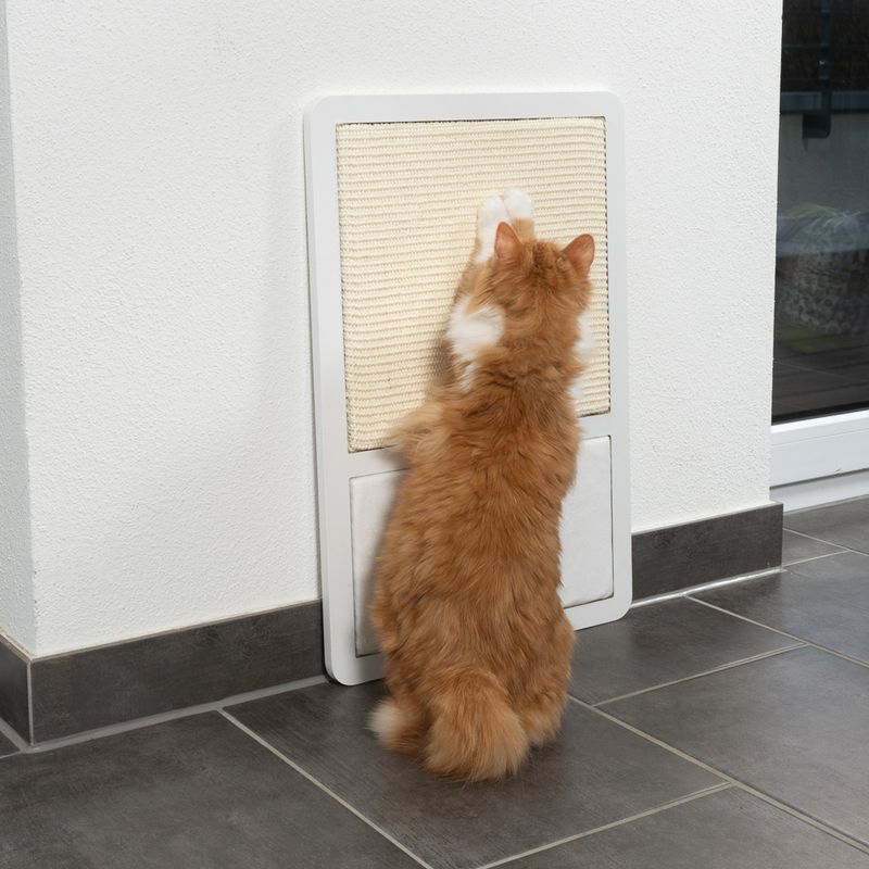 Modern Living San Francisco Scratching Board White