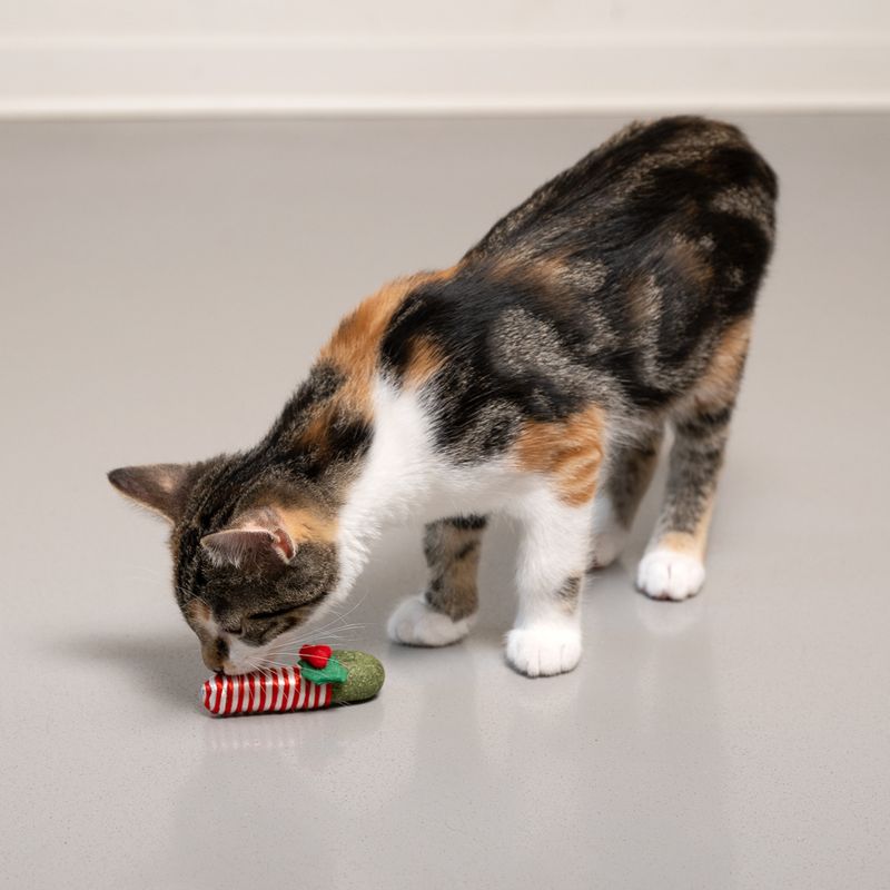TIAKI Catnip Candy Cane 1 Toy