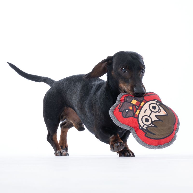 Warner Bros.™ Harry Potter Dog Toy 20 x 18 x 6 cm (L x W x H)