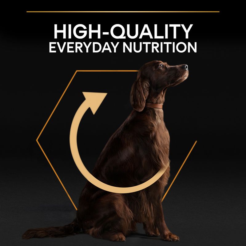 PURINA PRO PLAN Large Athletic Adult Everyday Nutrition 14kg