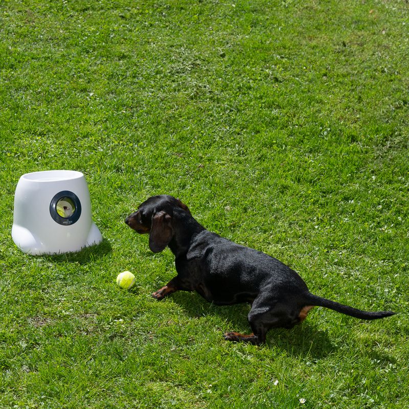 Nomad Tales Bloom Automatic Tennis Ball Launcher Mini: 26 x 27 x 21 cm (L x W x H)