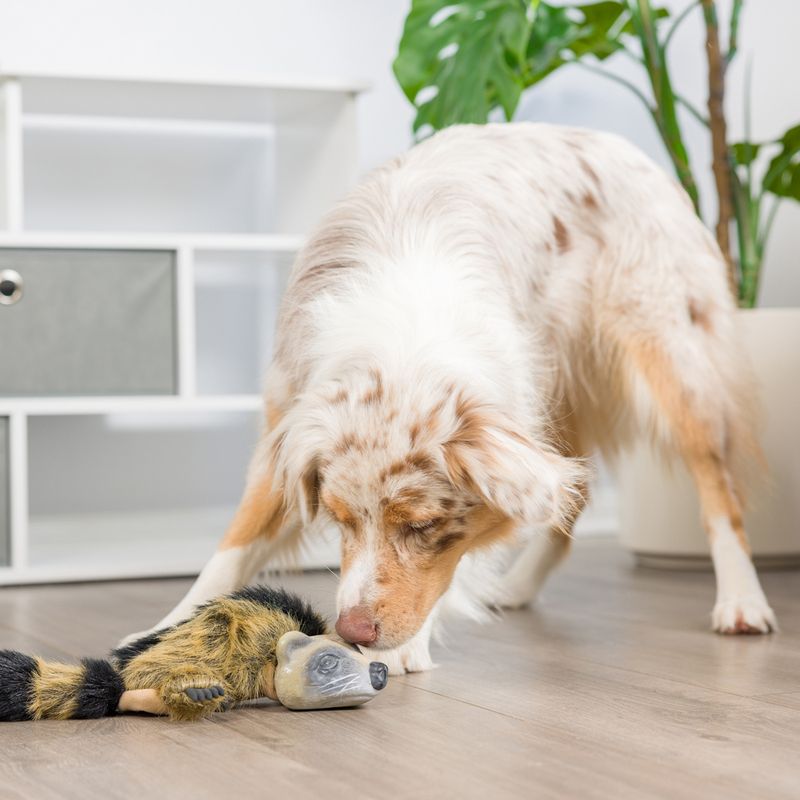 Hyper Pet Real Skinz Raccoon Approx. 40 x 10 x 8cm (L x W x H)