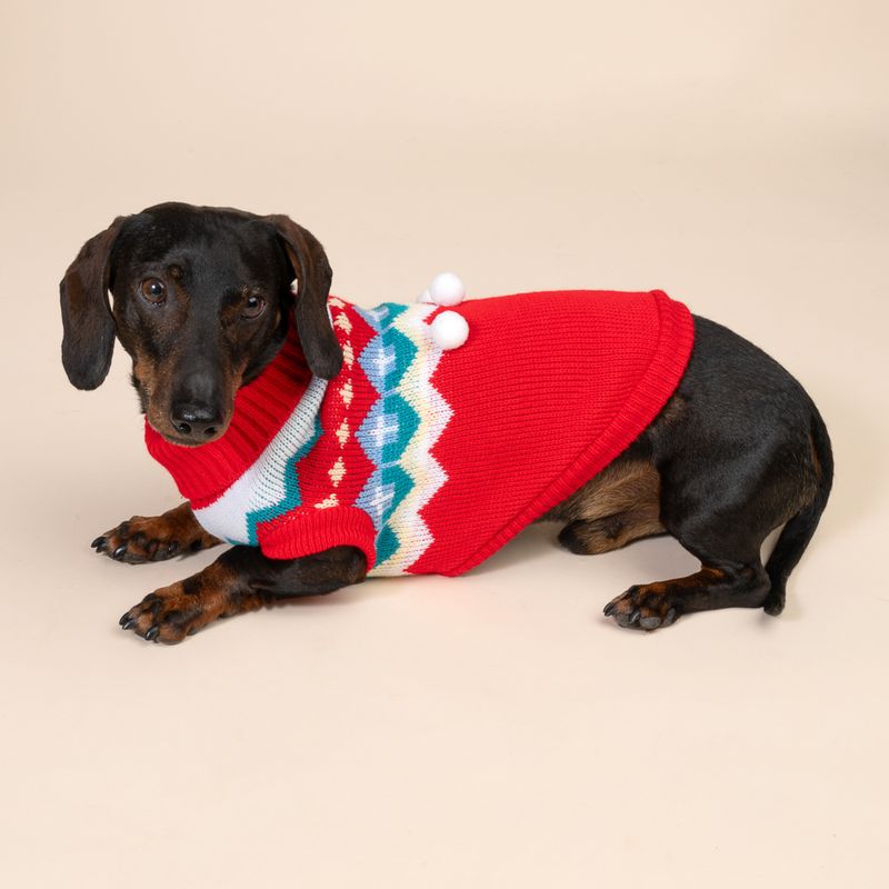 TIAKI Winter Dog Jumper Size M: approx. 30.5cm Back Length
