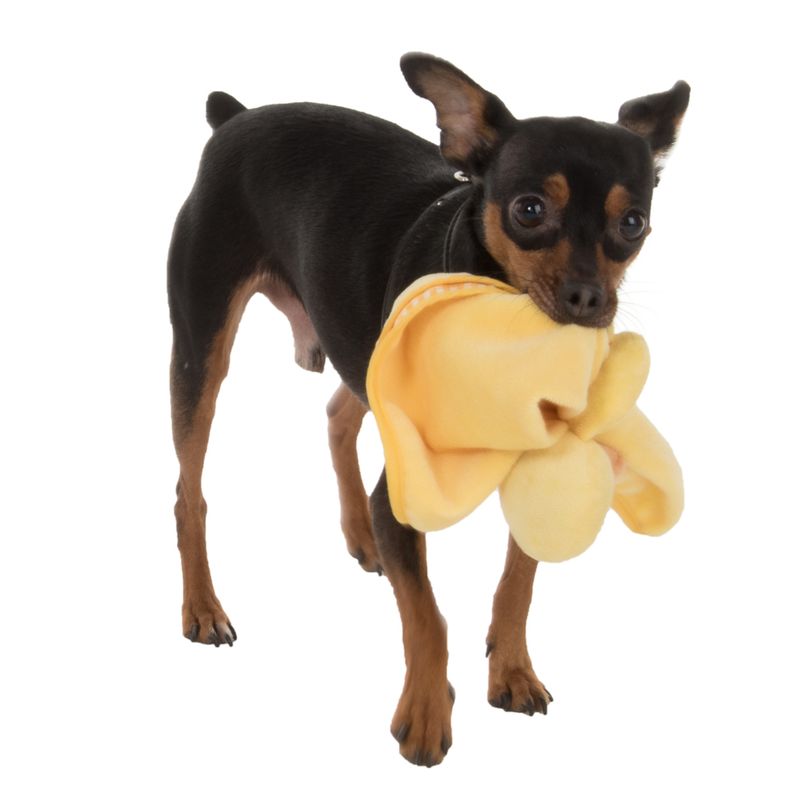 Puppy Blanky Quaxie 30 x 30 cm (L x W)