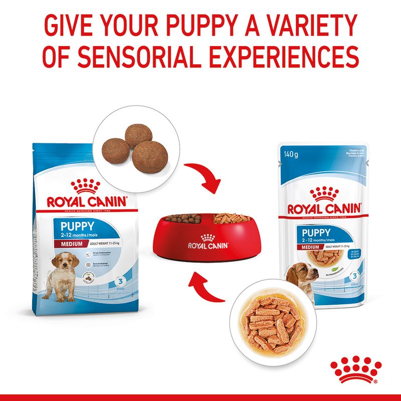 Royal Canin Medium Puppy in Gravy 10 x 140g