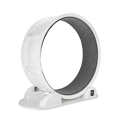 Modern Living Singapore Cat Exercise Wheel 1 Exercise Wheel