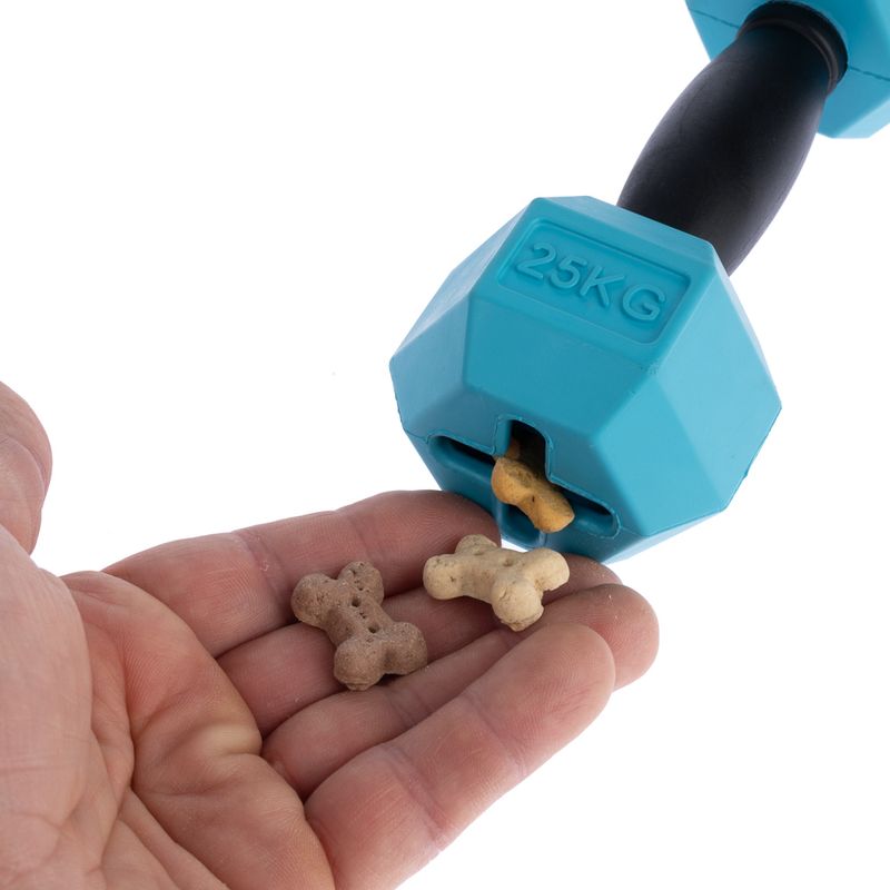 TIAKI Rubber Dumbbell Chew Toy 1 Toy