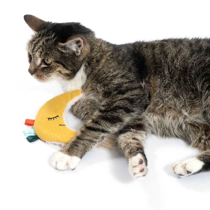 TIAKI Moon Catnip & Crinkle Cat Toy 1 Toy