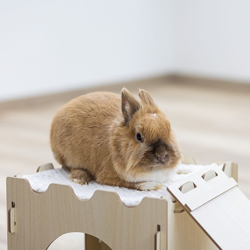 Kerbl Pet Rodent Castle L 28 x W 28 x H 25 cm