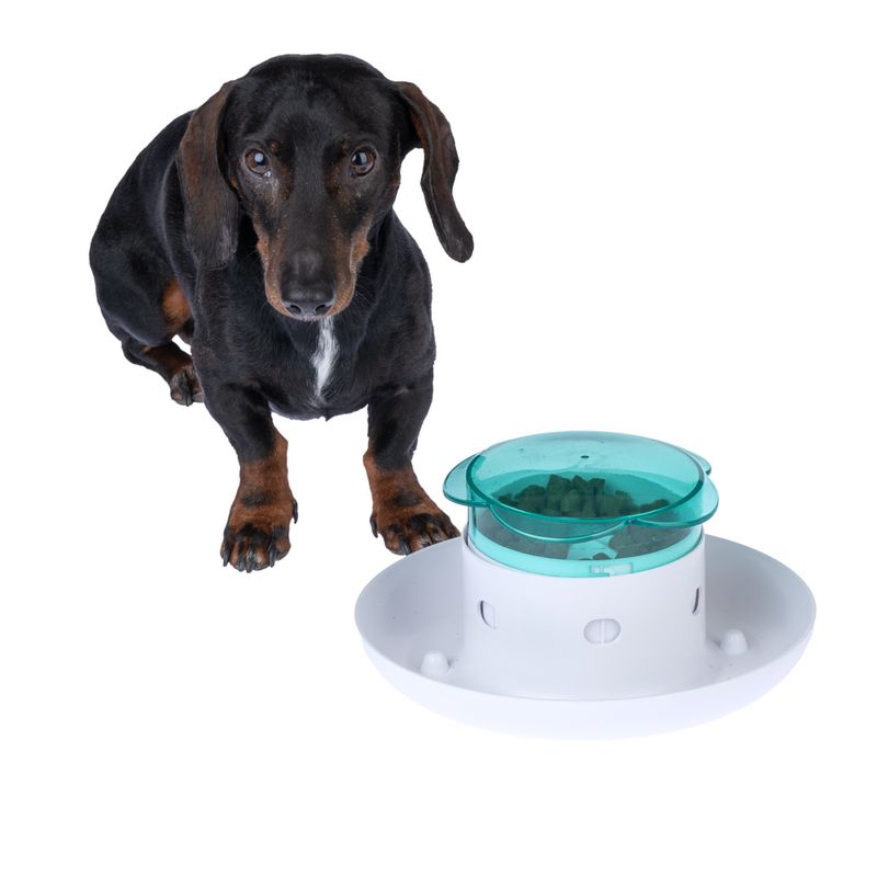 TIAKI Daisy Interactive Food Dispenser 1 Dispenser