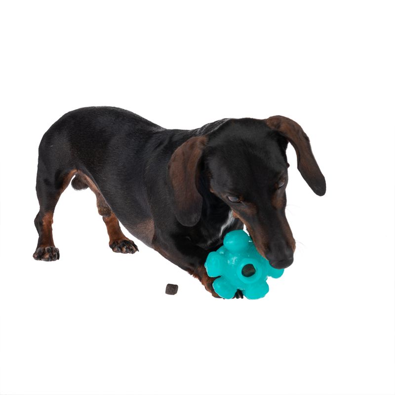 TIAKI Dog Toy Treat Ball Meteorite Size S: Ø 10 cm