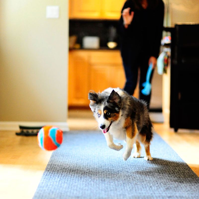 Chuckit! Indoor Ball Size L: Diameter 12cm