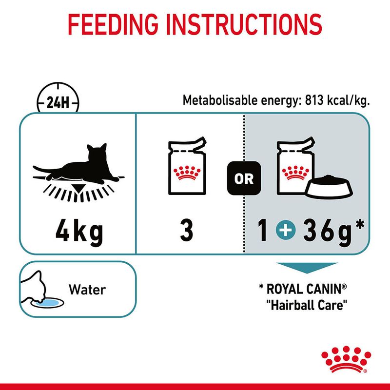 Royal Canin Hairball Care in Jelly 12 x 85g