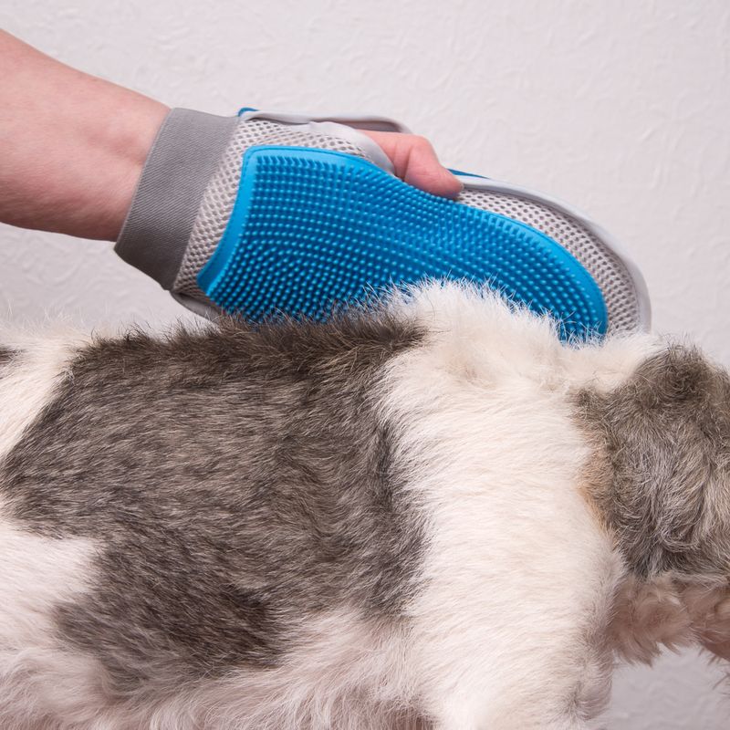 Double-Sided Wellness Glove 1 Glove