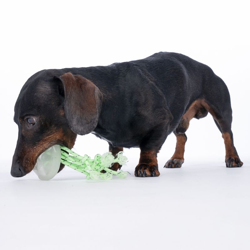 TIAKI Jellyfish Glow in the Dark Dog Toy 1 Toy