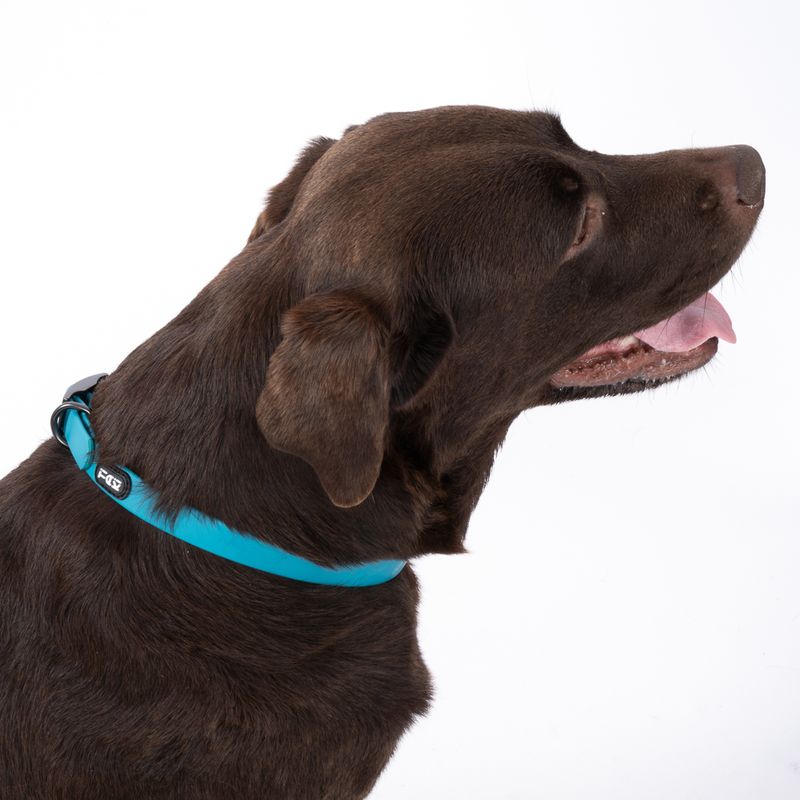 TIAKI water-repellent PVC collar, blue Size S: 24-36 cm neck circumference