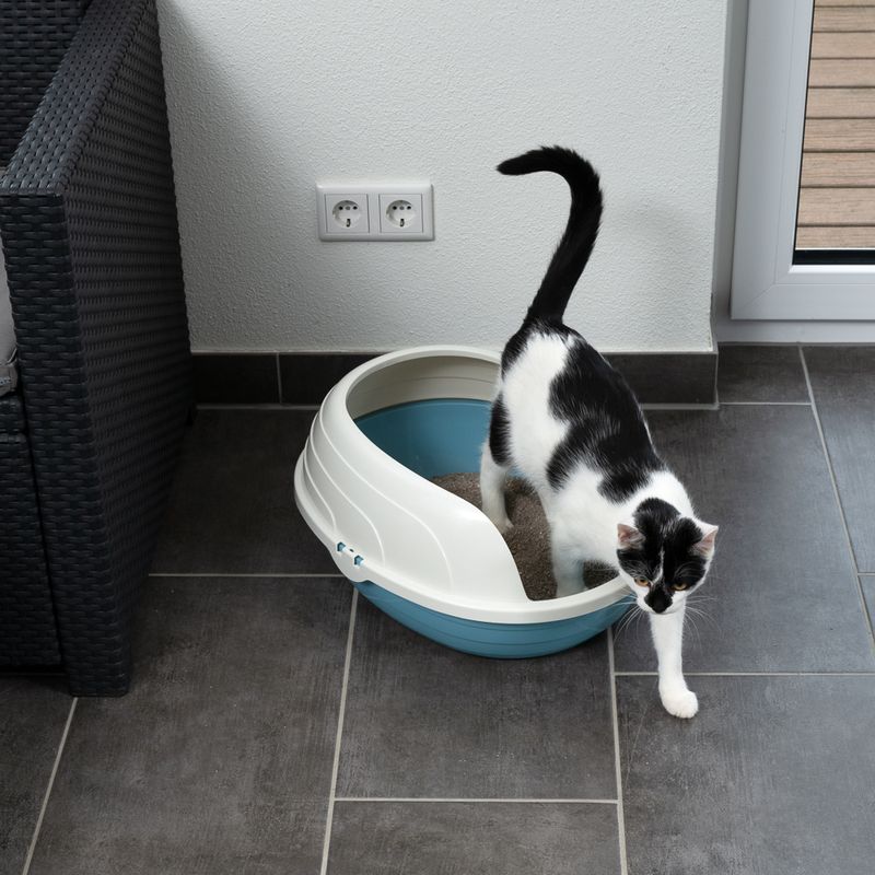 TIAKI Cobby Rounded Cat Litter Tray White / blue