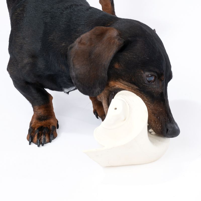 TIAKI Toilet Roll Latex Dog Toy diameter 9 x (H) 11.5 cm