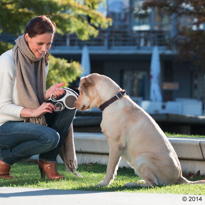 flexi Multi Box Black
