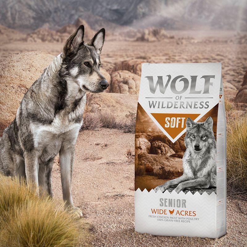 Wolf of Wilderness Senior Soft \
