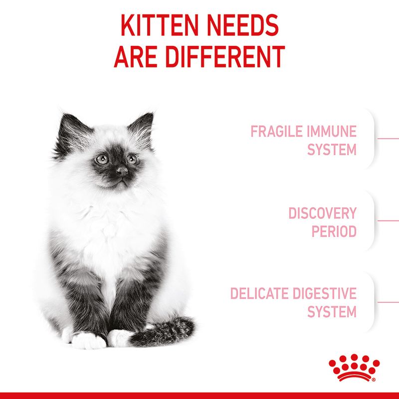 Royal Canin Kitten 400g