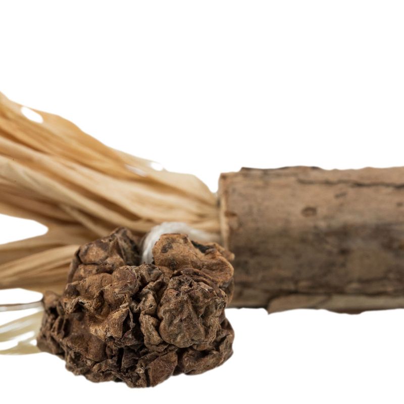 Trixie Silver Vine Stick with Fringe 1 Toy