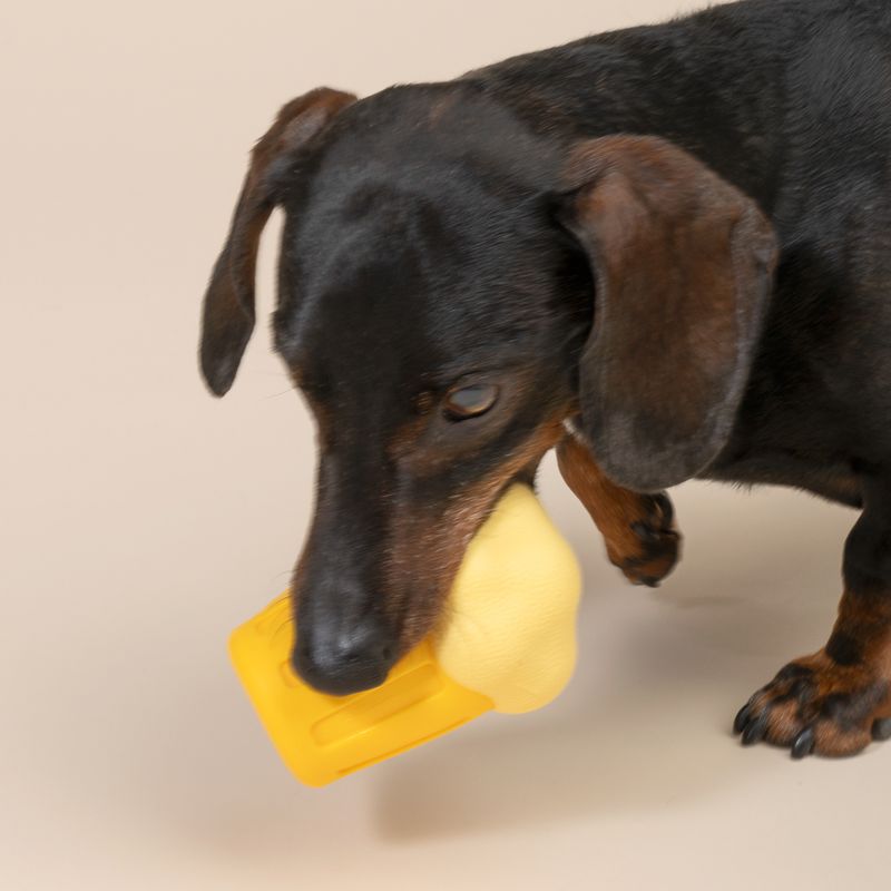 TIAKI Beer Mug Water Chew Toy 7.4 x 7.2 x 10.5 cm (L x W x H)