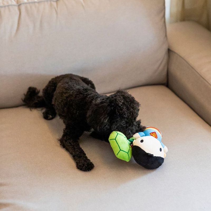 Warner Bros™ DC Superman Rope Dog Toy 22 x 13cm (L x W)