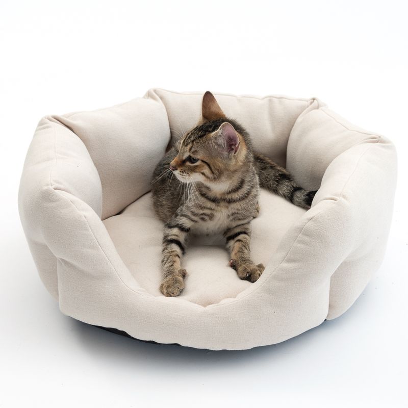 Modern Living Cuddly Bed Ostuni diameter 50 x (H) 18 cm