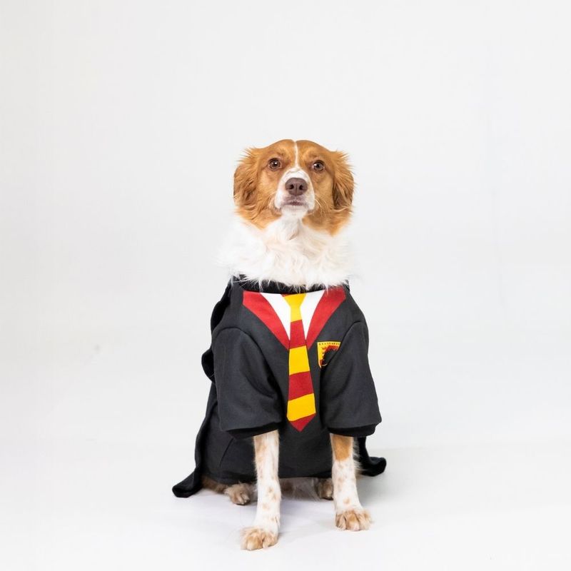 Harry Potter Dog Costume Size S/M: Back Length 35cm