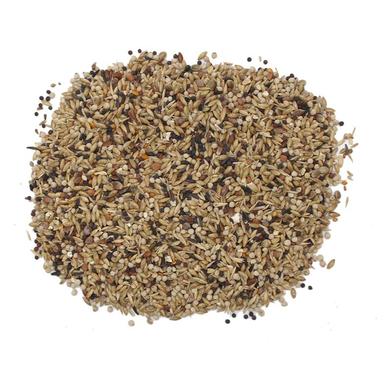 Hugro Canary Food 18 Seeds 500g