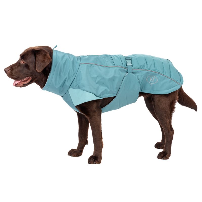 Nomad Tales Spirit Softshell Dog Coat - Pacific approx. 35cm Back Length