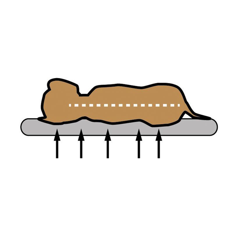 Pawz & Pepper Denver Ortho Dog Cushion M: 80 x 60 x 15 cm (L x W x H)