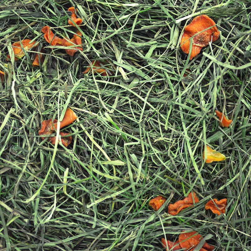 Chipsi Sunshine Organic Plus Mountain Meadow Hay Organic Dandelion (600g)