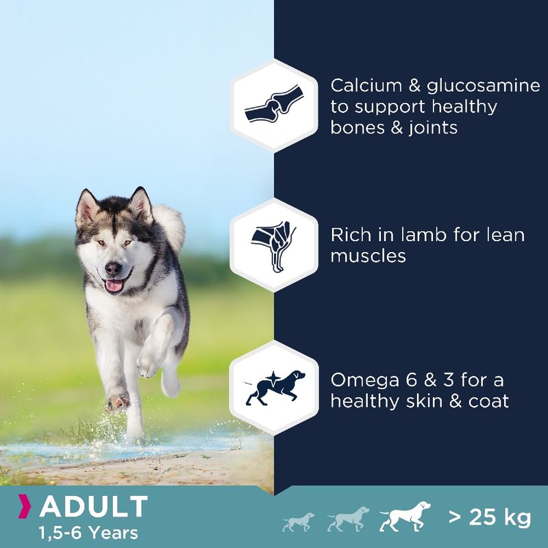 Eukanuba Grain Free Large Breed Adult - Lamb 12kg