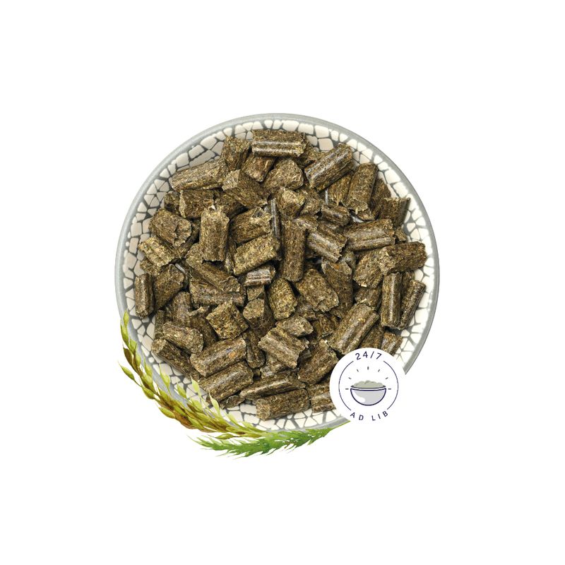 Bunny RabbitDream HERBS 4kg