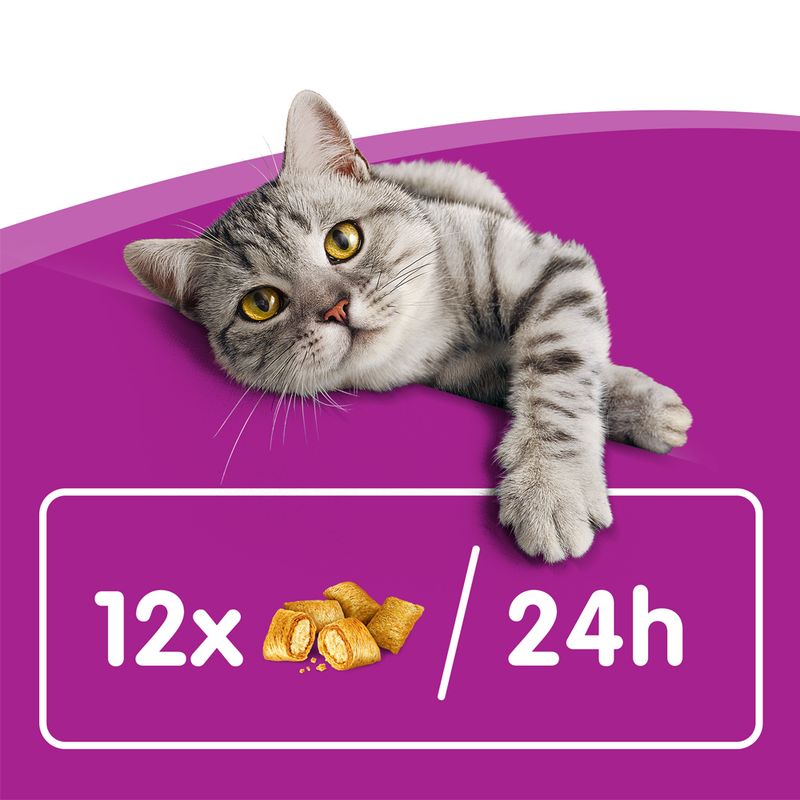 Whiskas Crunchy Pockets Turkey (60g)