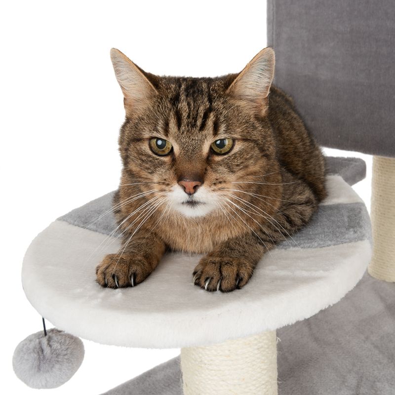 Gingerbread Cat Tree with Ladder - XXL Grey