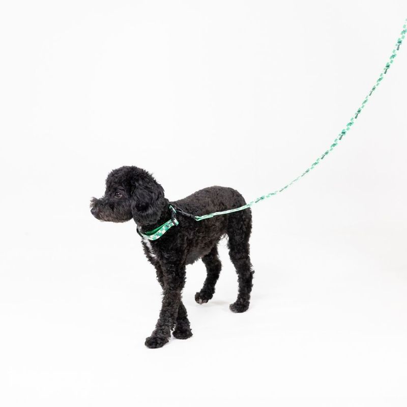 Harry Potter Slytherin Collar - Green Size S: Neck Circumference 25 - 36 cm, Width 20mm