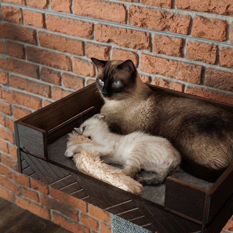 Modern Living Fergana scratching post dark brown / grey