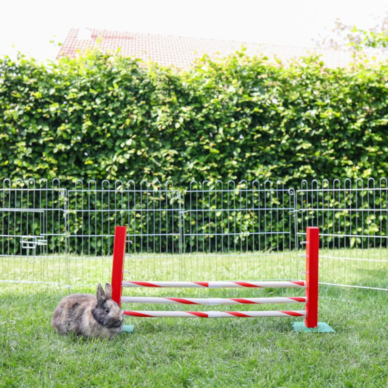 Kerbl Pet Agility Steep Jump for Rodents 70 x 5 x 35cm (L x W x H)