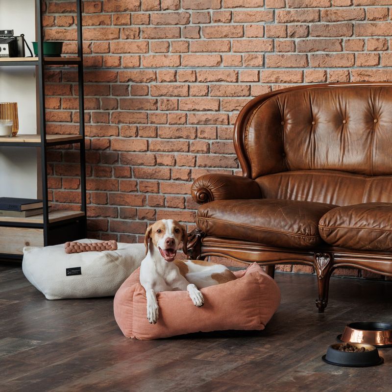 Modern Living Gaffney Cuddly Bed 60 x 60 x 22 cm (L x W x H)