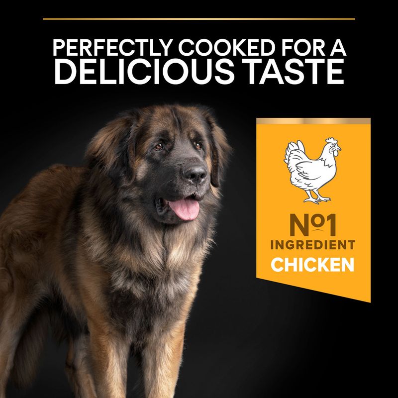 PURINA PRO PLAN Large Robust Adult Everyday Nutrition 14kg