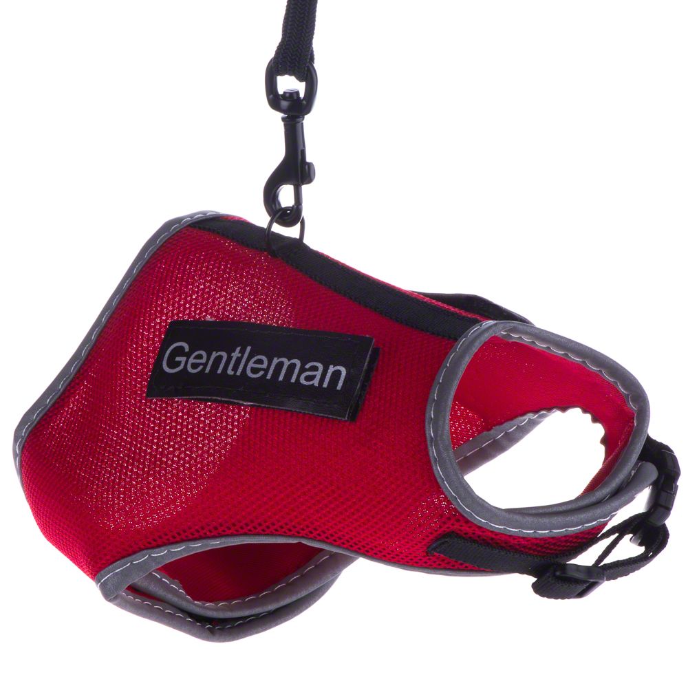 Trixie XCat Harness with Lead and Exclusive Stickers Black