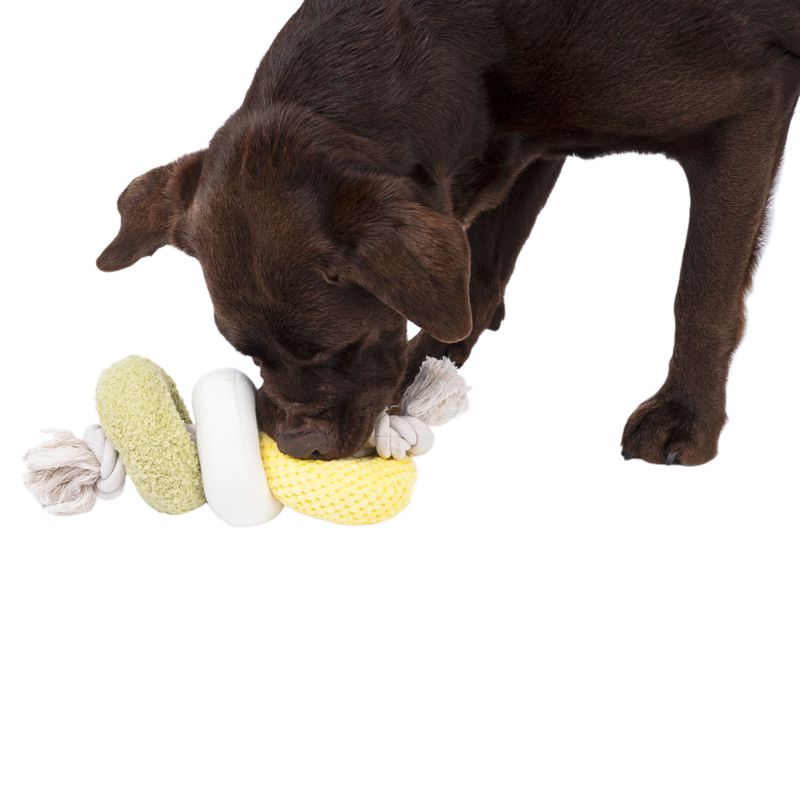 Modern Living Dalian Dog Toy with Rope 12 x 33cm (diameter x L)