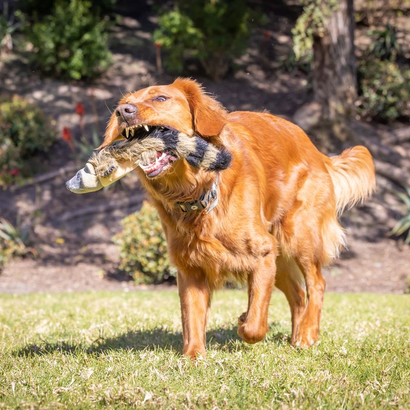 Hyper Pet Real Skinz Raccoon Approx. 40 x 10 x 8cm (L x W x H)