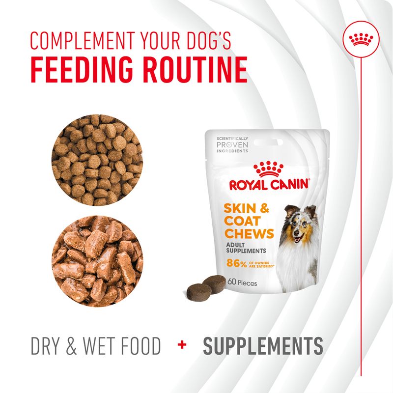 Royal Canin Skin & Coat Adult Supplement Chews 240g (60 pieces)